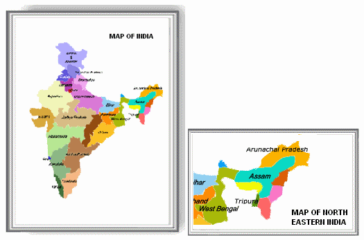 MAP PRINTED BOARDS AND PRINTED PLANNERS